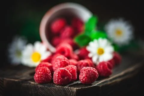Raspberry in a red cup with chamomile and leaves on a dark background. Summer Foto stock