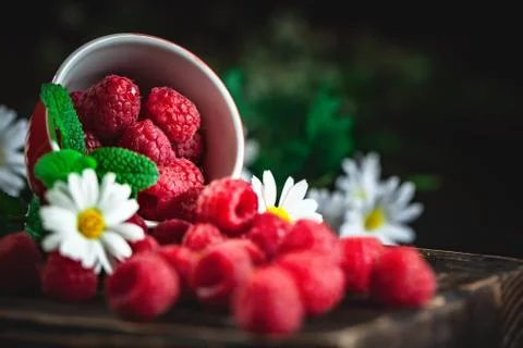 Raspberry in a red cup with chamomile and leaves on a dark background. Summer Foto stock