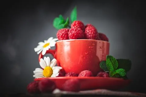 Raspberry in a red cup with chamomile and leaves on a dark background. Summer Foto stock