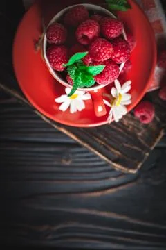 Raspberry in a red cup with chamomile and leaves on a dark background. Summer Stock Photos