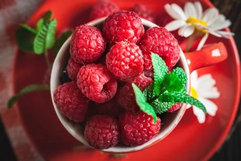 Raspberry in a red cup with chamomile and leaves on a dark background. Summer Stock Photos