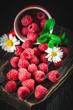 Raspberry in a red cup with chamomile and leaves on a dark background. Summer Stock Photos