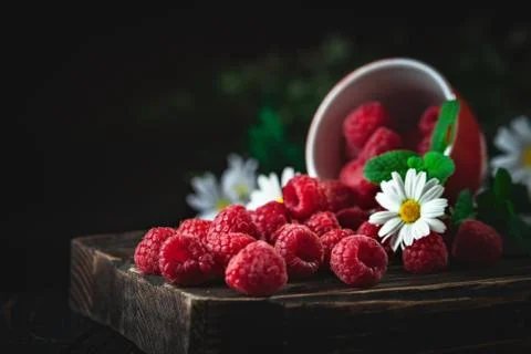 Raspberry in a red cup with chamomile and leaves on a dark background. Summer Foto stock