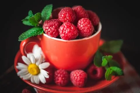 Raspberry in a red cup with chamomile and leaves on a dark background. Summer Stock Photos