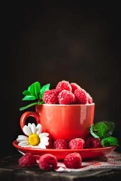 Raspberry in a red cup with chamomile and leaves on a dark background. Summer Foto stock