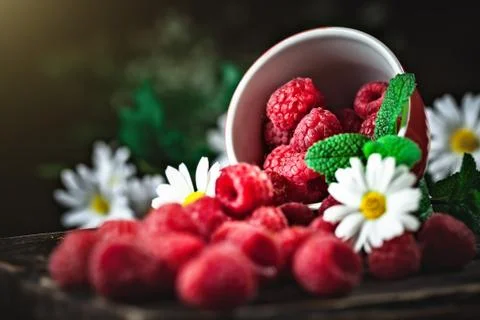 Raspberry in a red cup with chamomile and leaves on a dark background. Summer Foto stock