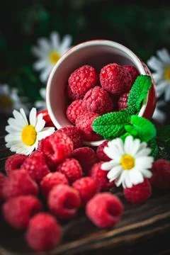 Raspberry in a red cup with chamomile and leaves on a dark background. Summer Stock Photos