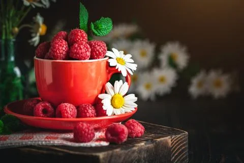 Raspberry in a red cup with chamomile and leaves on a dark background. Summer Foto stock