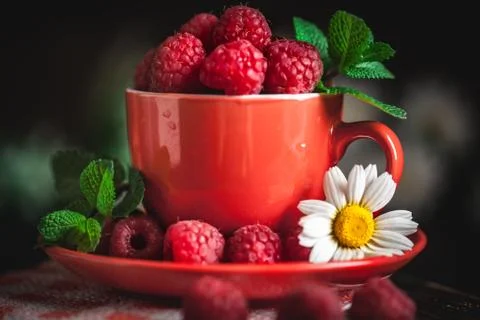 Raspberry in a red cup with chamomile and leaves on a dark background. Summer Stock Photos