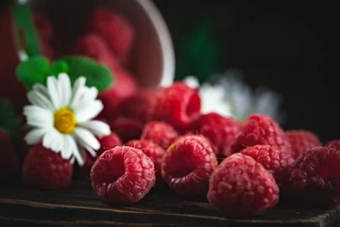 Raspberry in a red cup with chamomile and leaves on a dark background. Summer Stock Photos