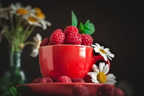 Raspberry in a red cup with chamomile and leaves on a dark background. Summer Stock Photos