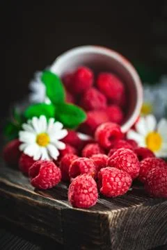 Raspberry in a red cup with chamomile and leaves on a dark background. Summer Stock Photos