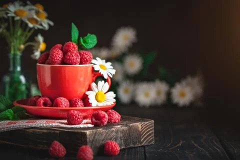 Raspberry in a red cup with chamomile and leaves on a dark background. Summer Stock Photos