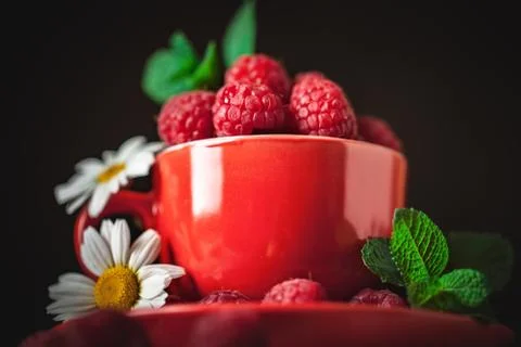 Raspberry in a red cup with chamomile and leaves on a dark background. Summer Stock Photos