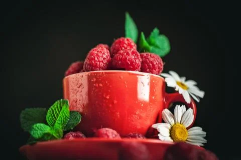 Raspberry in a red cup with chamomile and leaves on a dark background. Summer Foto stock