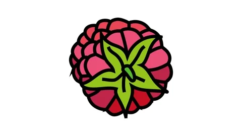 Raspberry ripe delicious fruit color icon animation Stock Footage 225064685