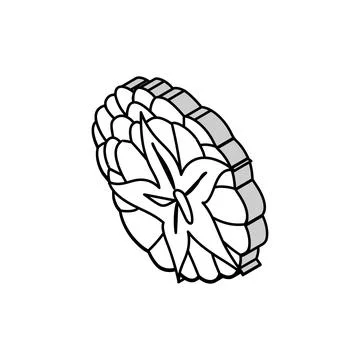Raspberry ripe delicious fruit isometric icon vector illustration Illustrazione stock