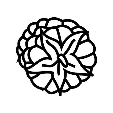 Raspberry ripe delicious fruit line icon vector illustration Stock Illustration