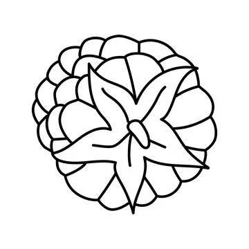 Raspberry ripe delicious fruit line icon vector illustration Illustrazione stock