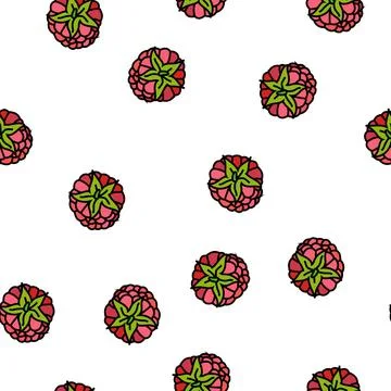 Raspberry ripe delicious fruit vector seamless pattern Stockillustratie
