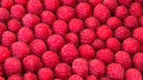 Raspberry. Ripe raspberry background. Stock-Footage 77925621