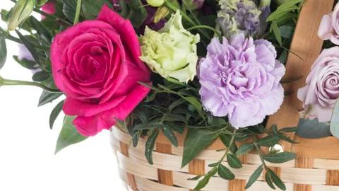 Raspberry Rose and Carnations Stock Photos