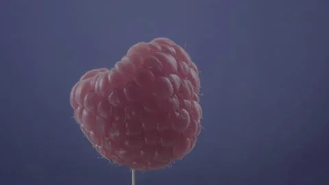 Raspberry rotating with loop on blue scr... | Stock Video | Pond5
