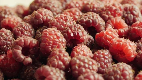Raspberry rotation background Stock Footage 95102425