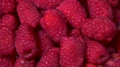 Raspberry rotation Background Stock Footage 134180514