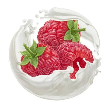 Raspberry with round milk splash isolated on white background Raspberry wi... Stock Photos
