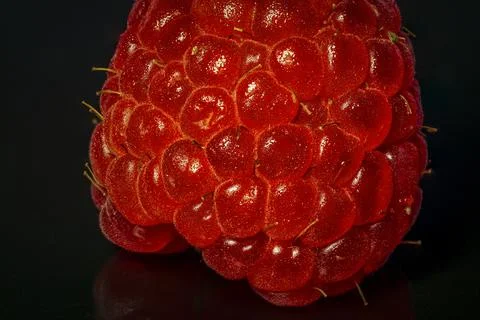 Raspberry ruit Super Macro Shot Close Up Stock Photos