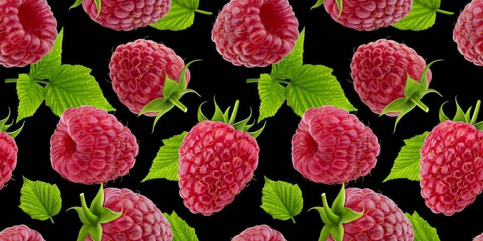 Raspberry seamless pattern on black background Raspberry seamless pattern ... 스톡 사진