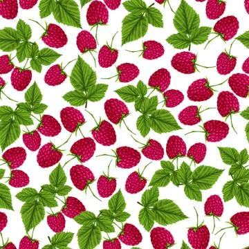 Raspberry seamless pattern Stock Illustration