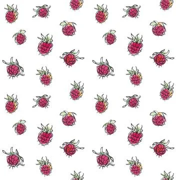 Raspberry seamless pattern Stock-Illustration