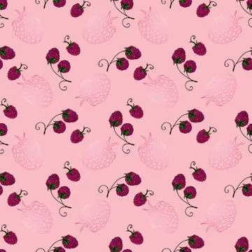 Raspberry seamless pattern Stock Illustration