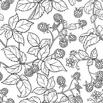 Raspberry seamless pattern Illustrazione stock