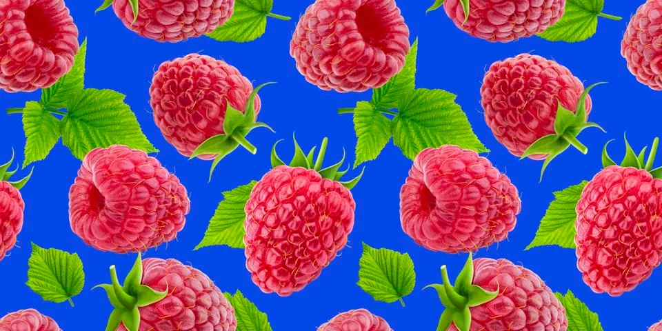 Raspberry seamless pattern isolated on blue background 스톡 사진