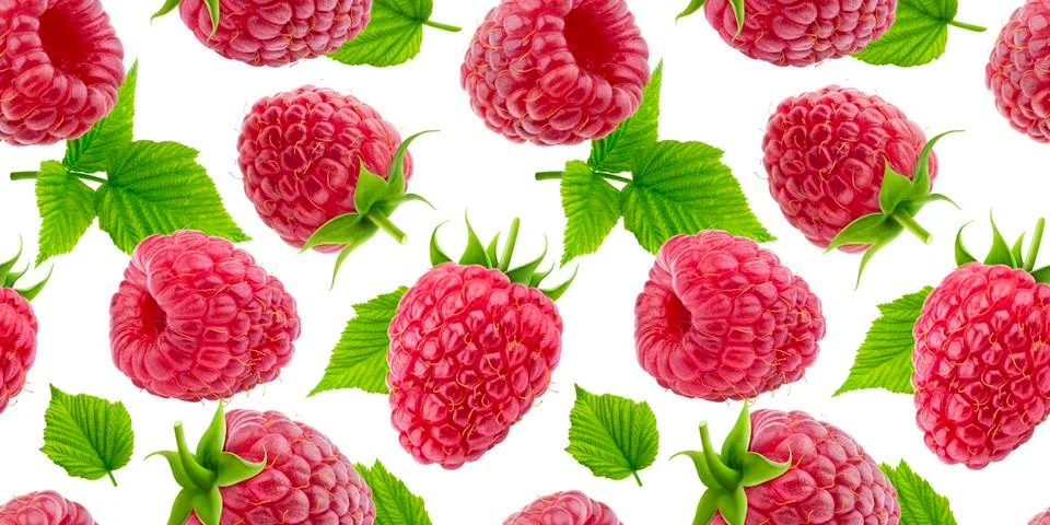 Raspberry seamless pattern isolated on white background 스톡 사진