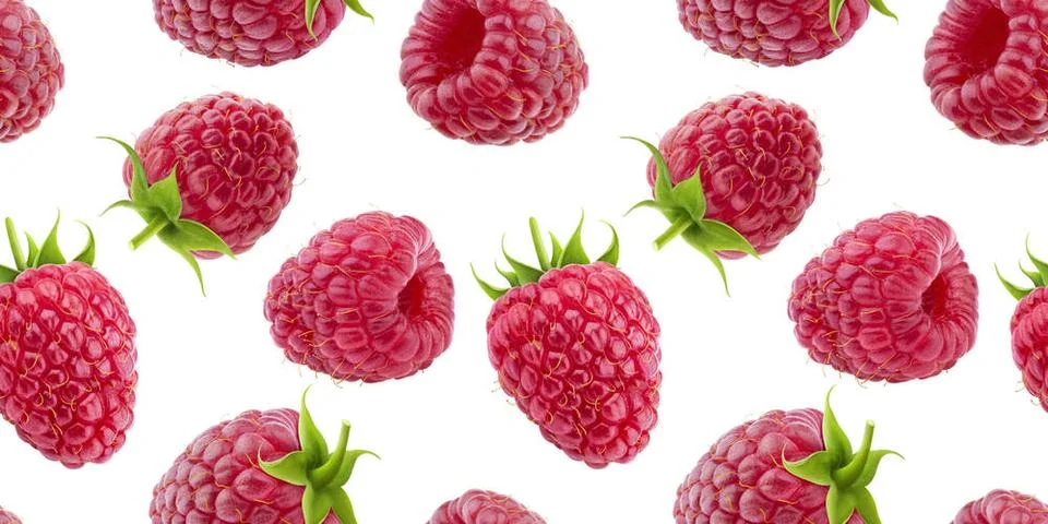 Raspberry seamless pattern isolated on white background Raspberry seamless... 스톡 사진