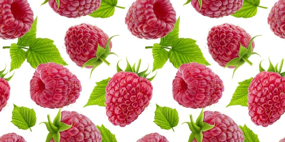Raspberry seamless pattern isolated on white background Raspberry seamless... Stock Photos