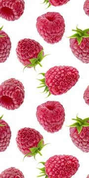 Raspberry seamless pattern isolated on white background Stock Photos