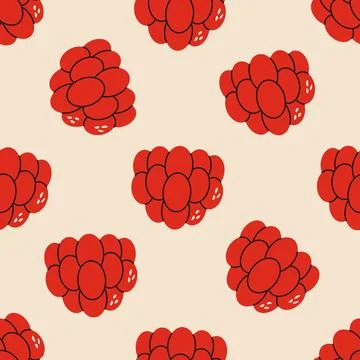Raspberry seamless pattern. Print with raspberry fruit, fresh ripe berry Stock Illustration