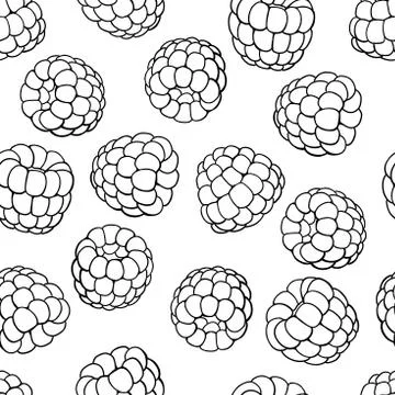 Raspberry seamless pattern. Vector drawing. Isolated berry sketch on white Stock Illustration