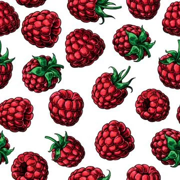 Raspberry seamless pattern. Vector drawing. Isolated berry sketc Illustrazione stock