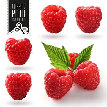 Raspberry set with clipping path. Stock Photos