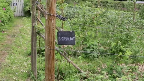 Raspberry sign further out pythouse gardens wiltshire Stock-Footage 137402394