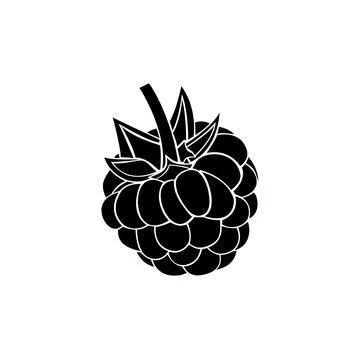 Raspberry Silhouette Vector Illustration Stock Illustration