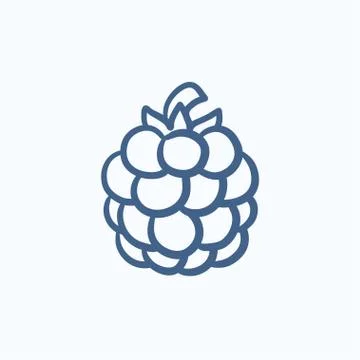 Raspberry sketch icon Illustrazione stock