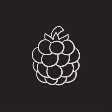 Raspberry sketch icon Stock Illustration