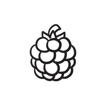 Raspberry sketch icon イラスト素材